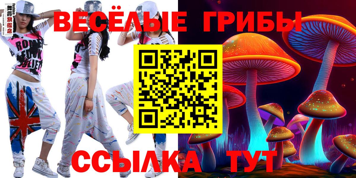 Ульяновск  Галлюциногенные грибы мухоморы  Псилоцибиновые грибы GOLDEN TEACHER  что такое наркотик  Вход с VPN 