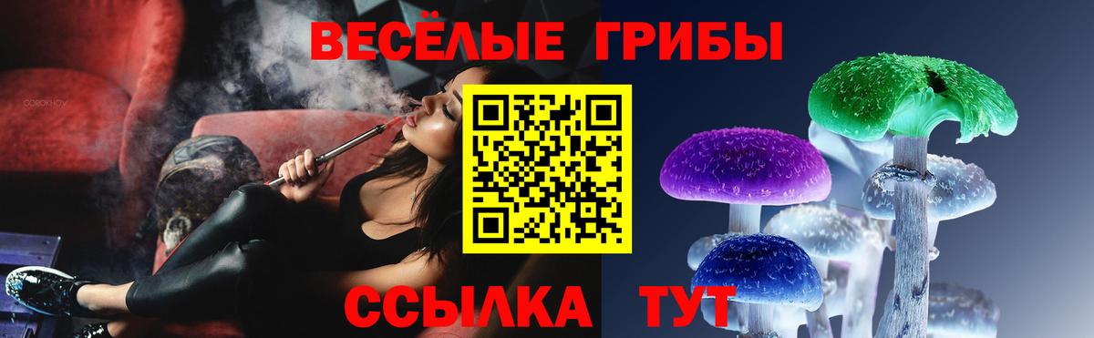 Псилоцибиновые грибы мицелий Ульяновск